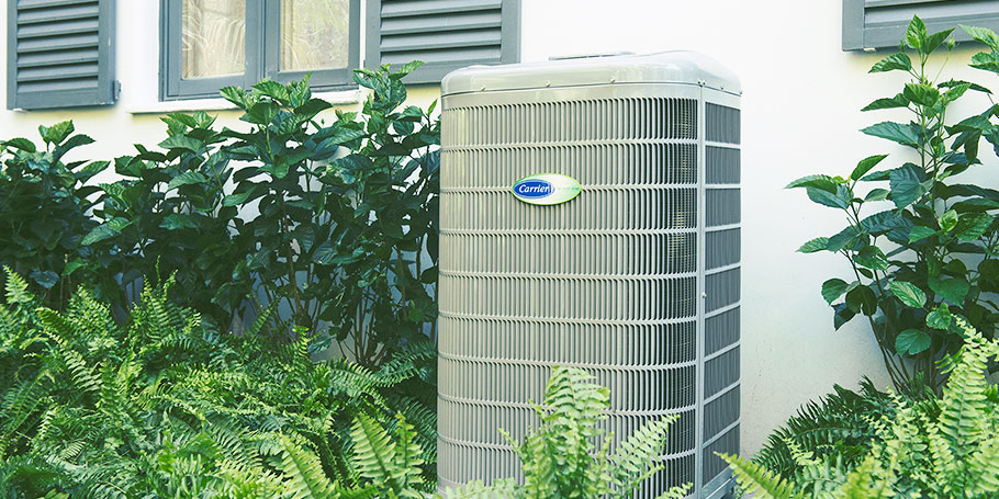 Outdoor air conditioning unit next to a building surrounded by green plants and ferns.